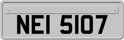 NEI5107