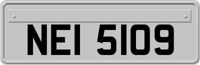 NEI5109