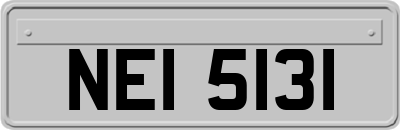 NEI5131