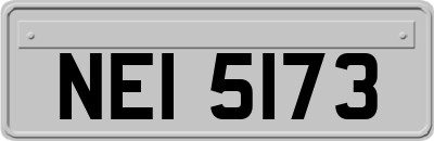 NEI5173