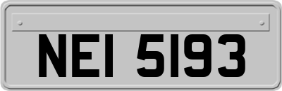 NEI5193