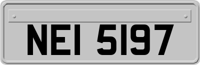 NEI5197