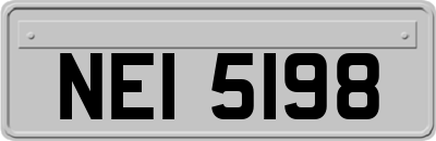 NEI5198