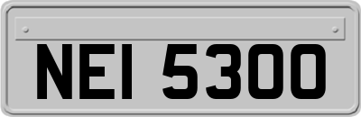 NEI5300