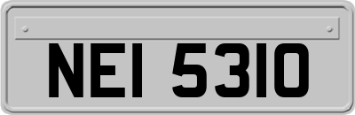 NEI5310