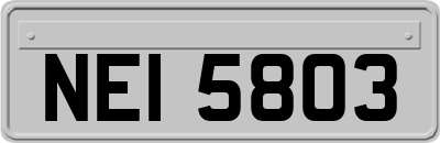 NEI5803