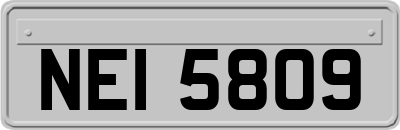 NEI5809