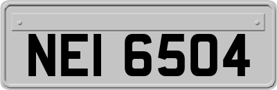 NEI6504