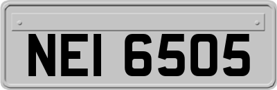 NEI6505