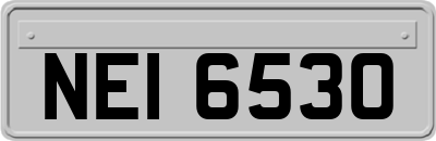 NEI6530