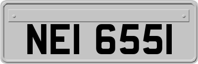 NEI6551