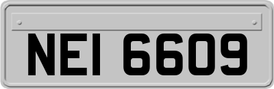 NEI6609