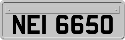 NEI6650