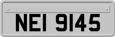 NEI9145