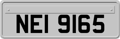 NEI9165