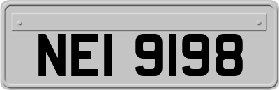 NEI9198