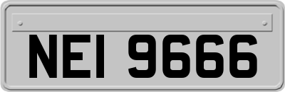 NEI9666