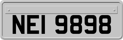 NEI9898