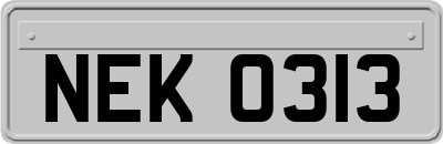 NEK0313