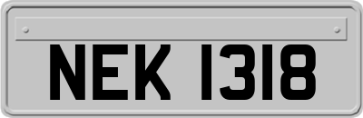 NEK1318