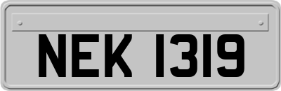 NEK1319