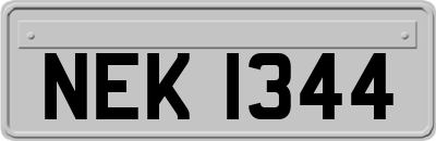 NEK1344