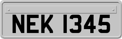 NEK1345