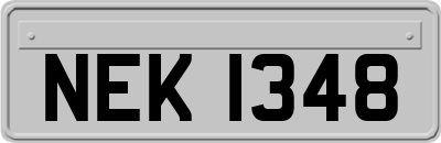 NEK1348