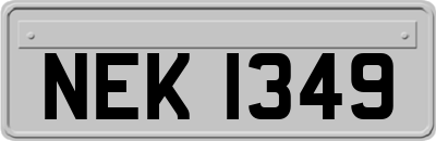 NEK1349