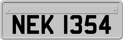 NEK1354