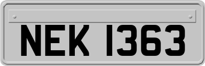 NEK1363
