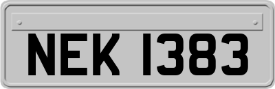 NEK1383