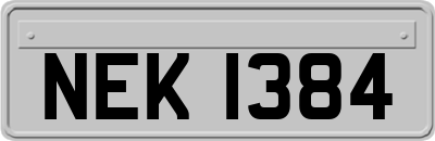 NEK1384