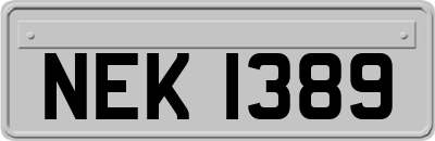 NEK1389