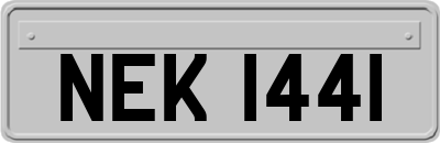 NEK1441