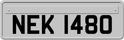 NEK1480