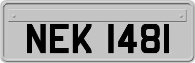 NEK1481