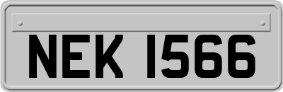 NEK1566