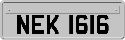 NEK1616