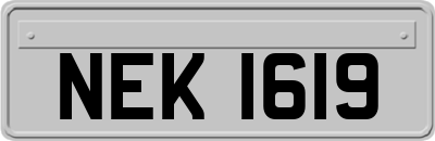 NEK1619