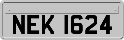 NEK1624