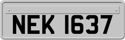 NEK1637