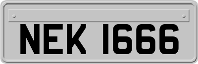 NEK1666