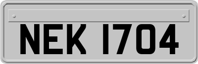 NEK1704