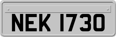 NEK1730