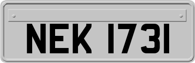 NEK1731