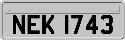 NEK1743