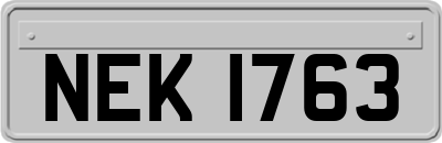 NEK1763