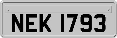 NEK1793