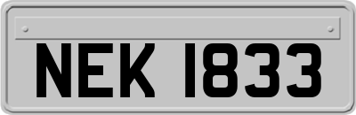 NEK1833